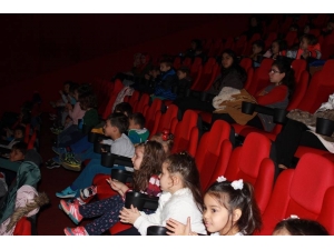 Gölgeden Sinema Perdesine