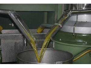 Zeytin Dalından Sofraya Yolculuk