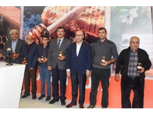 Adana Bal Yarışması