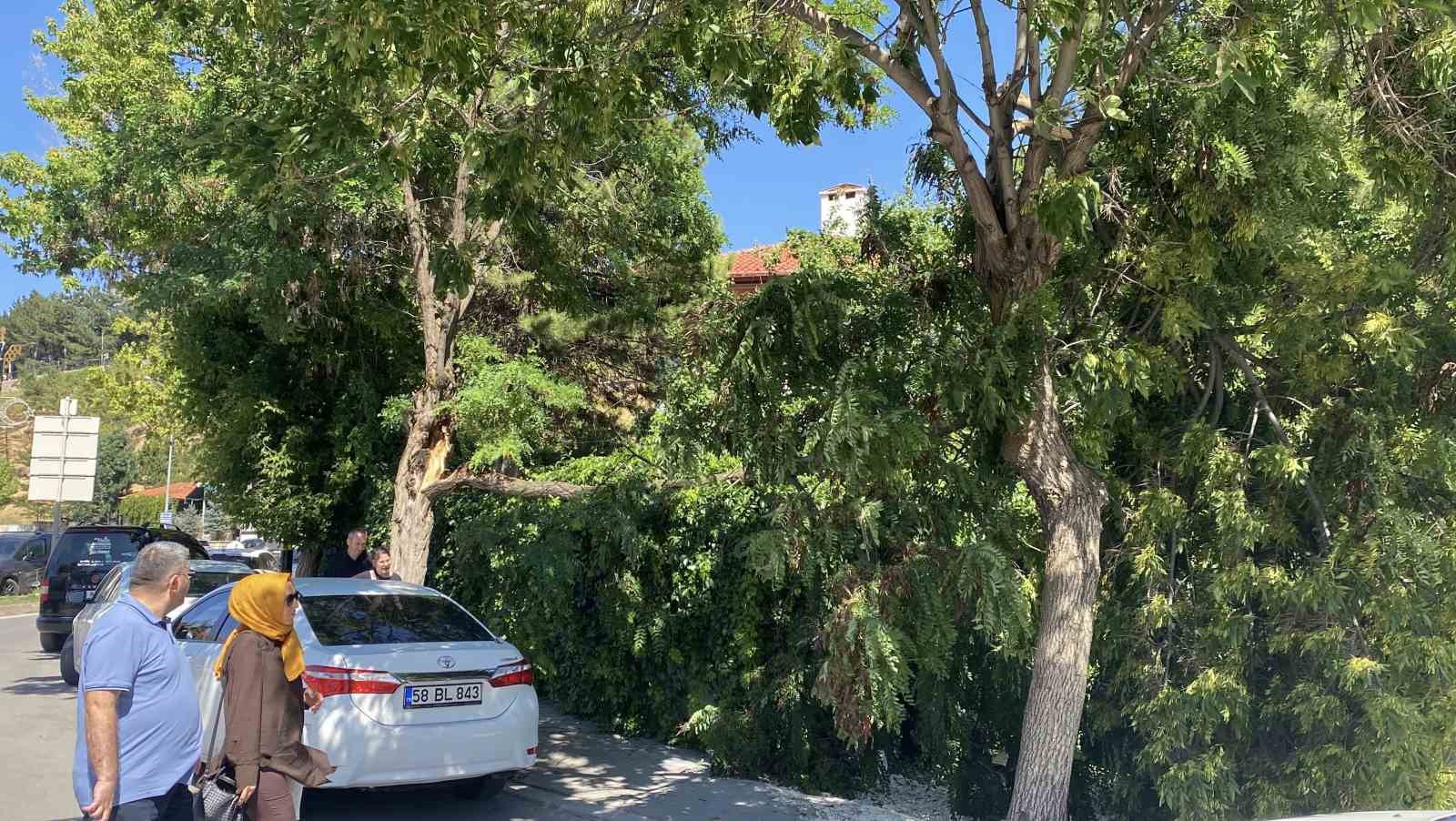 sivas-valiligi-uyarmisti-ruzgar-hasara-yol-acti
