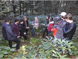 Yabani Nerede, Onlar Orada