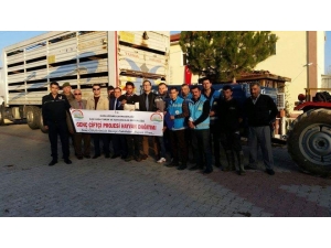 Dumlupınar’da 37 Koyun Hibe Olarak Dağıtıldı