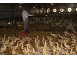 Erdoğan’ın Çağrısıyla Yatırımı Almanya Yerine Elazığ’a Yaptı