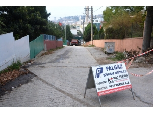 Dilovası’nda Doğalgaz Çalışmaları Başladı