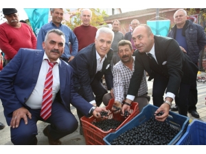 Nilüfer’de “Zeytin Buluşması”