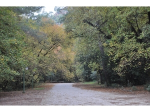 Günnücek Sonbaharda Başka Güzel