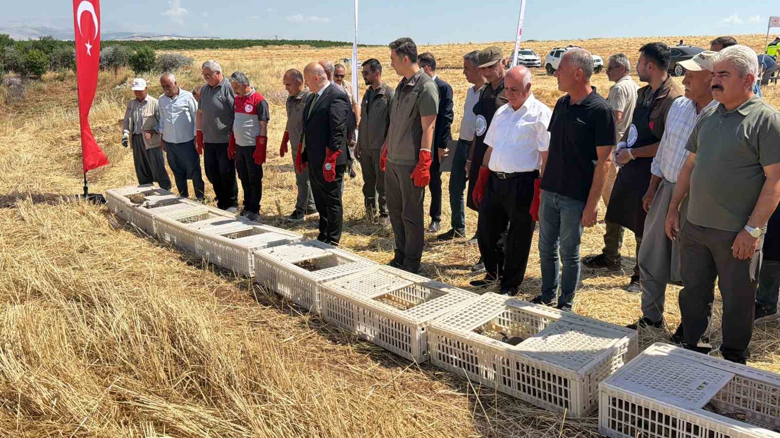 adiyaman-dogasina-bin-adet-keklik-salindi