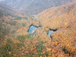 Yedigöller Sonbaharda Rengarenk