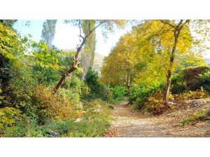 Ganos Ormanlarında Sonbahar