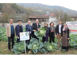 Gölyaka’da Tarla Günü Etkinliği Düzenlendi