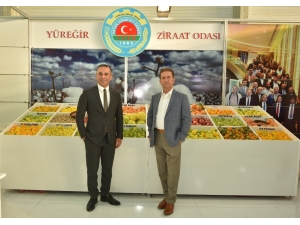 Yzo Başkanı Doğan: "Adana Yeniden Tarımın Başkenti Oldu"