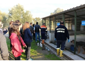 Burhaniye’de Liseliler Sokak Hayvanları İçin Mama Topladı