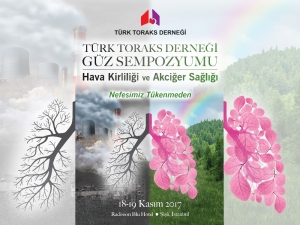 Hava Kirliliği İstanbul’da Tartışılacak