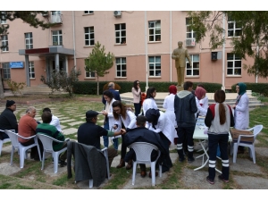 Diyabet Günü Farkındalık Etkinliği