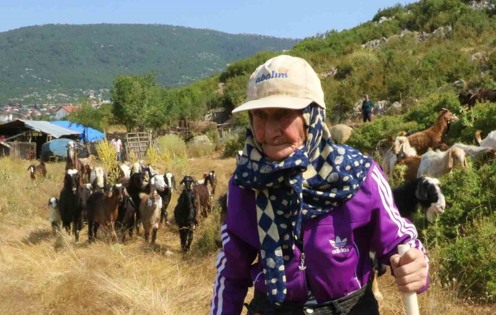 antalya-nin-super-cobani-emine-nine-94-yasinda-90-yildir-kecileriyle-daglarda
