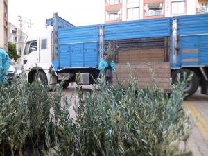 Büyükşehirin Kırsala Desteği Sürüyor