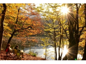 Manisalı Fotoğrafçılar Sonbaharın Renklerini Yedigöller’de Fotoğrafladı