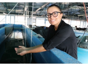 Karidese Yatıran Kazanıyor