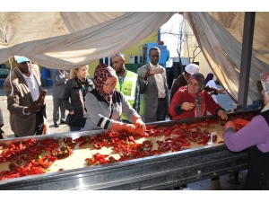 İnegöl’den Avrupa’ya 1 Milyon Dolarlık Salça İhracatı