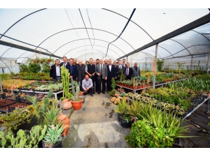 Muğla’nın Çiçeklerini Üreten Çiçekler