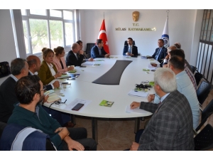 4. Milas Zeytin Hasat Şenliğine Son Şekli Verildi