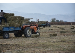 Alaşehir Belediyesinden Üreticiye 150 Ton Ücretsiz Yem Desteği