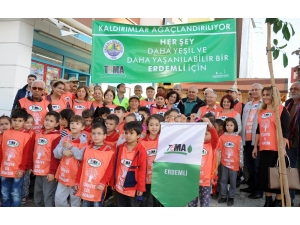 Erdemli Şehir Merkezinde Kaldırımlara Fidan Dikildi