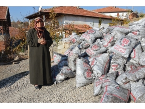 Hüsne Teyze Kömüre Kavuştu