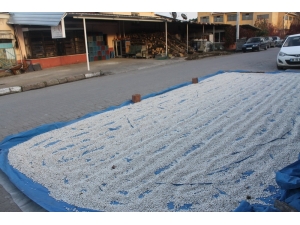 Ürünleri Sokaklarda Kurutuyorlar