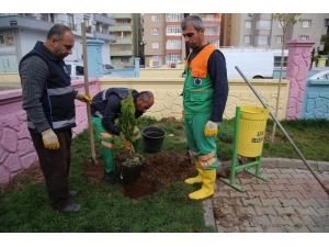 Yeşillendirme Çalışmaları Sürüyor