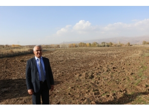 Bingöl Belediyesi Kendi Bitkisini Yetiştirecek