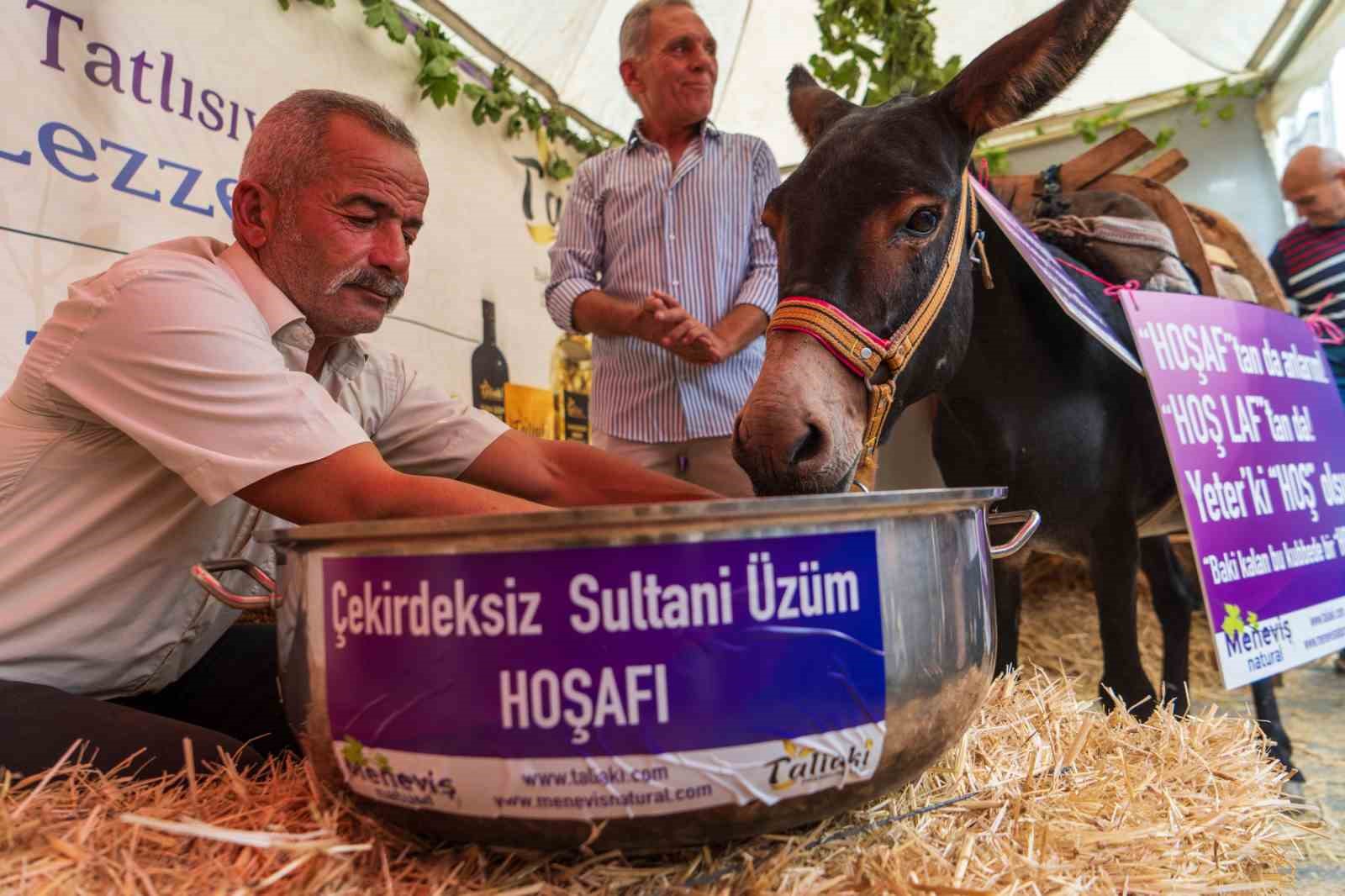 esek-hosafa-direndi-ortaya-renkli-goruntuler-cikti