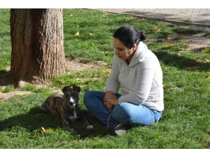 Sıcak Hava Eskişehirlileri Sokağa Döktü