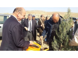 Arapgir’de 2 Bin Fidan Toprakla Buluştu