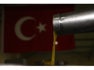 Zeytinin Verimi Çok Yağı Az