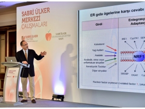 Harvard Sabri Ülker Merkezi’nden Bilim Dünyasında Kolesterol İle İlgili Çığır Açan Buluş