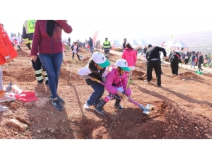 Şehitkamil’e Yeni Bir Orman Kazandırıldı