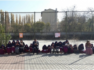 Said Nursi’de Kitap Okuma Etkinliği