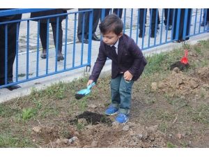 Prematüre Bebek Farkındalık Buluşmasında Fidan Diktiler