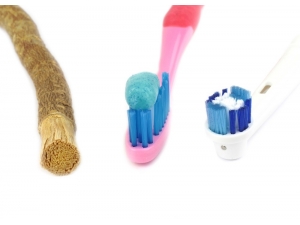 Ağız Ve Diş Bakımı İçin Doğru Malzeme Seçimi Önemli