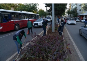 Sunay Caddesinin Peyzajı Yenilendi