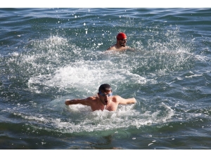 Kasım Ayında Van Gölü’nün Keyfini Çıkartıyorlar