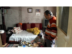 Yaşlı Çiftin Dramı