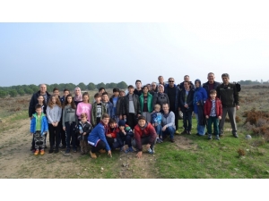 Öğrenciler Fıstık Çamı Dikti