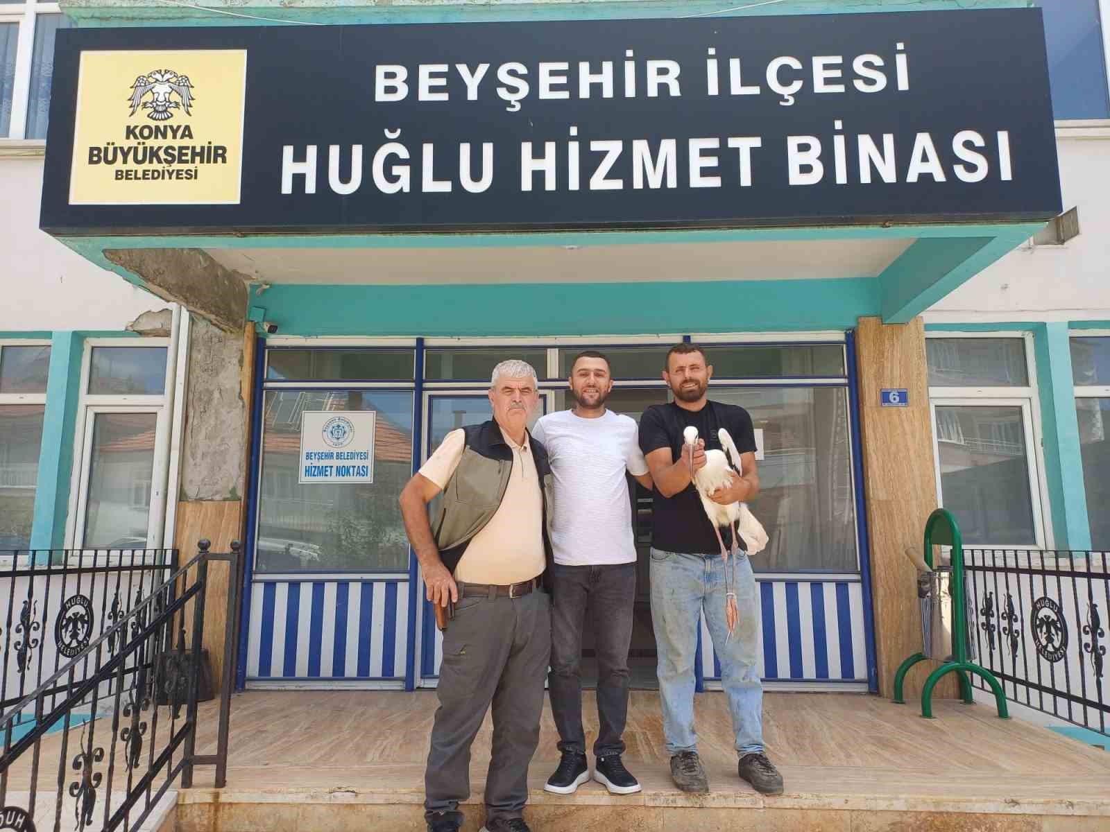 yarali-leylek-koruma-altina-alindi