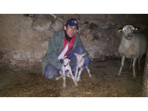 İkiz Kuzusunun Sevincini Sosyal Medyada Paylaştı