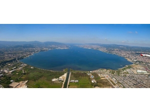 İzmit Körfezine 6 Bin Balık Bırakılacak