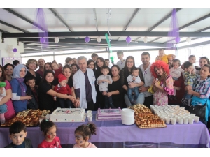 Hayata Tutunan Bebekler Bir Araya Geldi