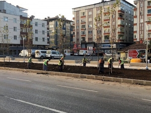 Büyükşehir’den Pazar Mesaisi