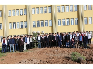 Cü Diş Hekimliği Fakültesi Bahçesine Fidan Dikildi